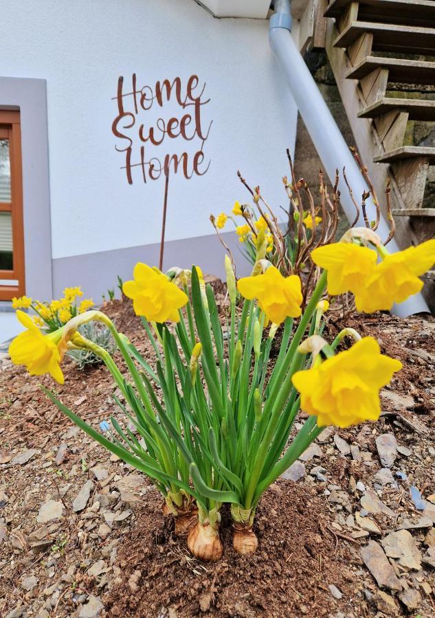 Willa Daffodils Enscherange Zewnętrze zdjęcie